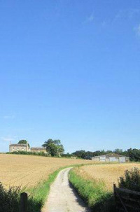 COuntry lane