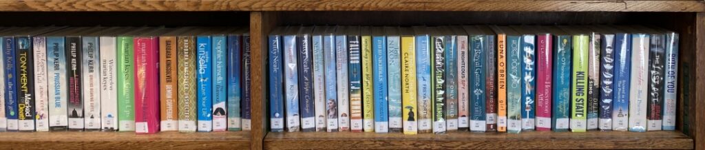 Library books on shelves